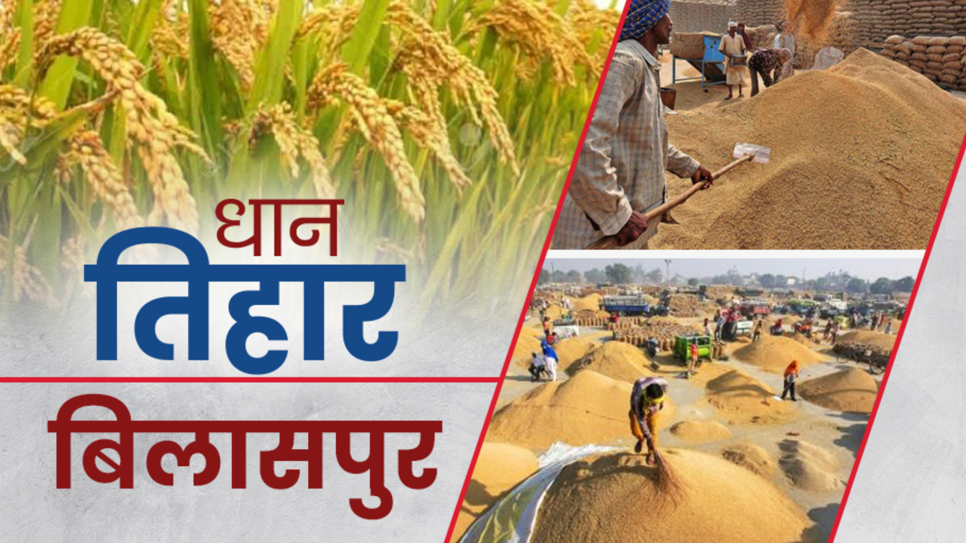 paddy-purchase-started-in-chhattisgarh