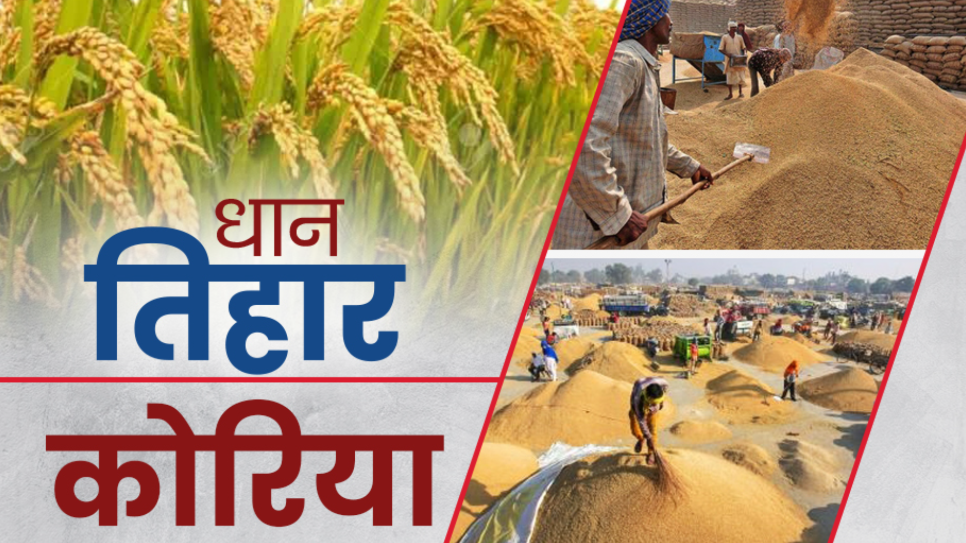 paddy-purchase-started-in-chhattisgarh