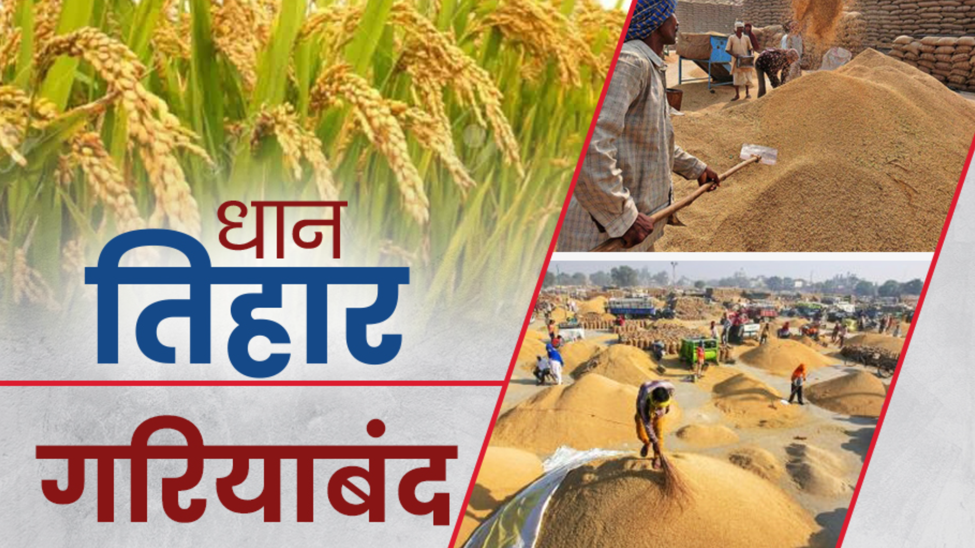 paddy-purchase-started-in-chhattisgarh