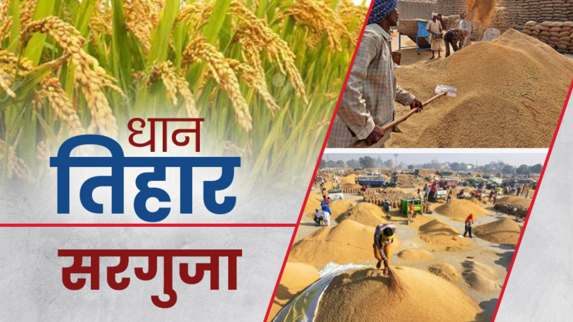 paddy-purchase-started-in-chhattisgarh