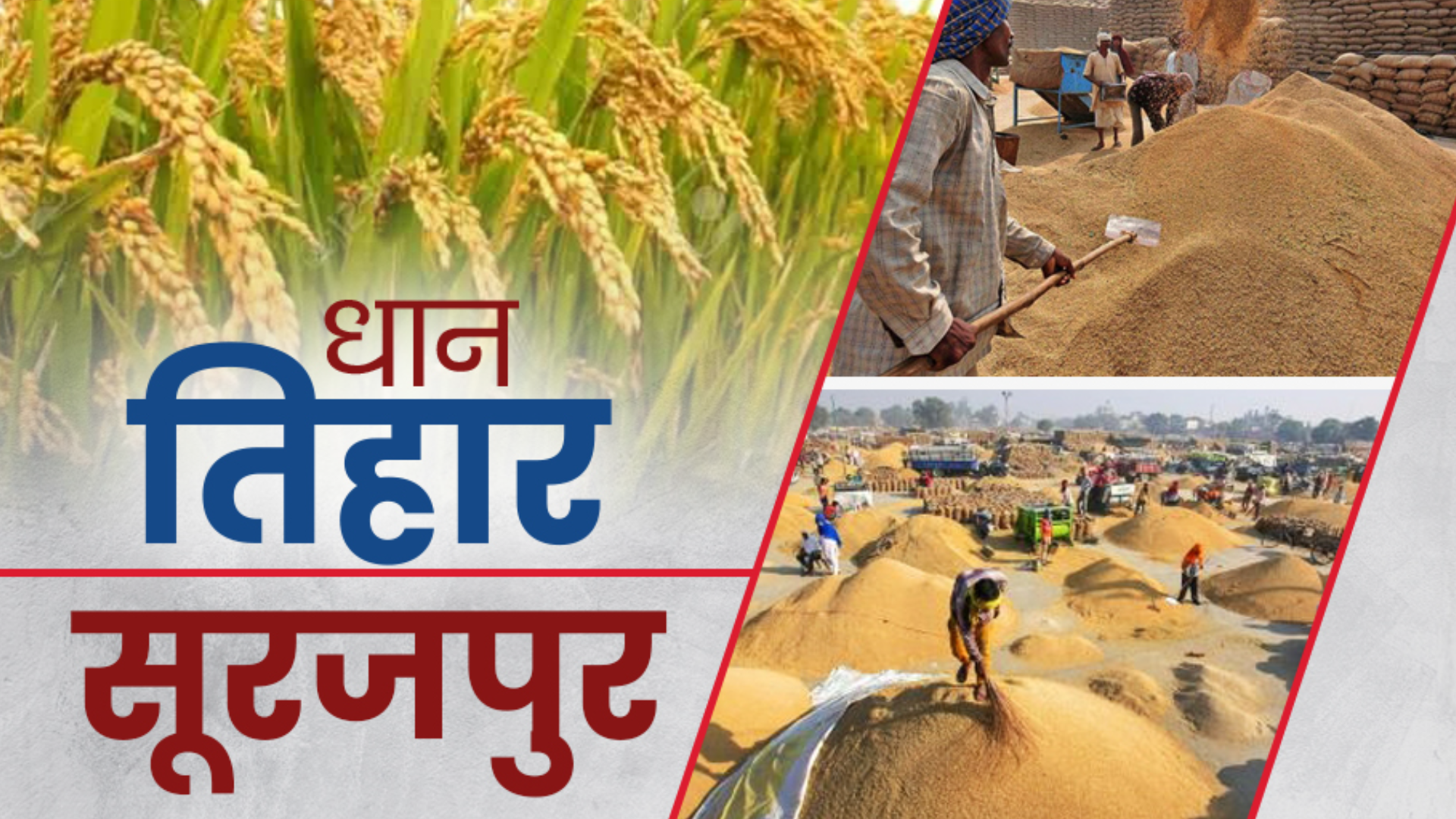 paddy-purchase-started-in-chhattisgarh