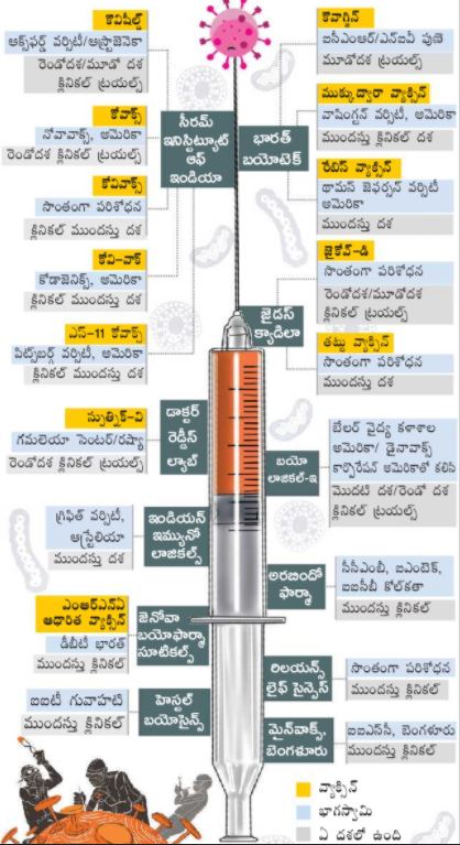 progress-of-corona-vaccine-among-indian-pharma-companies