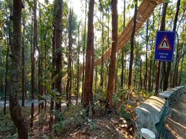 uttarakhand gets its first eco bridge for small animals