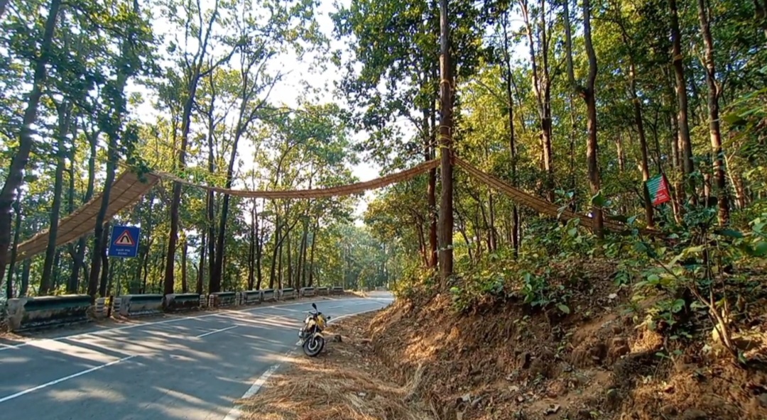 uttarakhand gets its first eco bridge for small animals