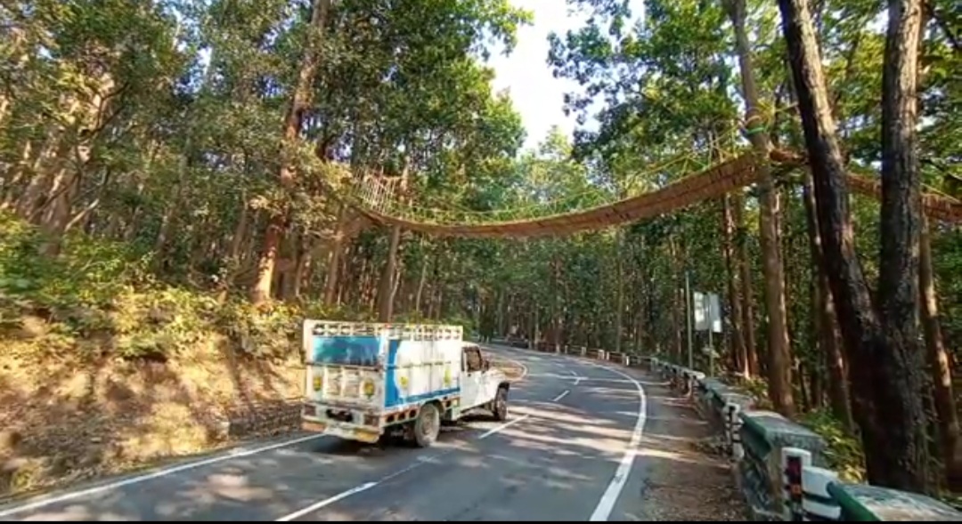 uttarakhand gets its first eco bridge for small animals