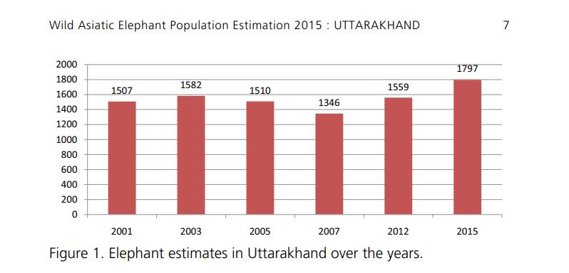 elephants in uttarakhand.