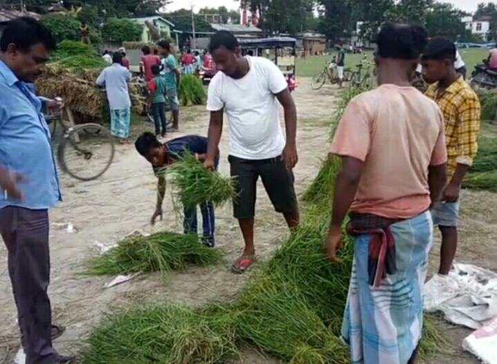 grass market