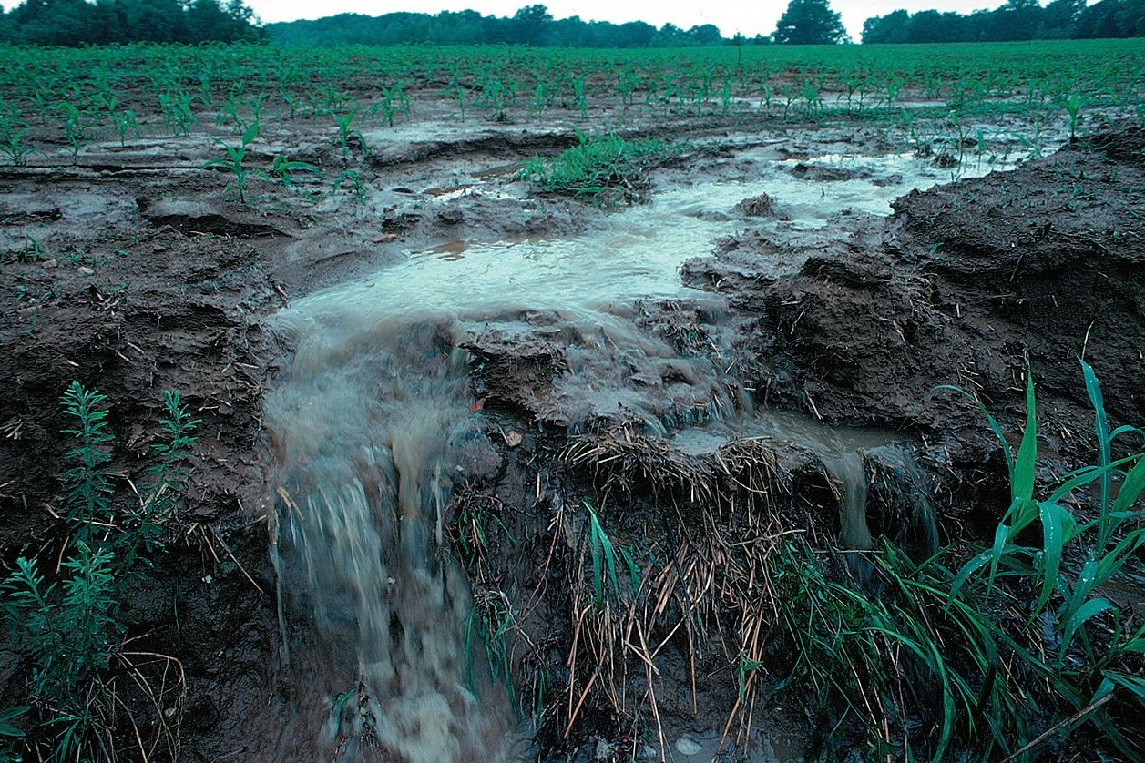 Soil pollution