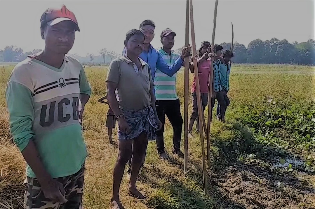 farmers-cultivating-crops-on-island-in-korba