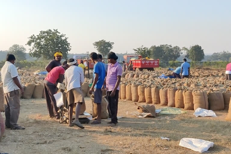 Inspection of Bastar Paddy Procurement Center