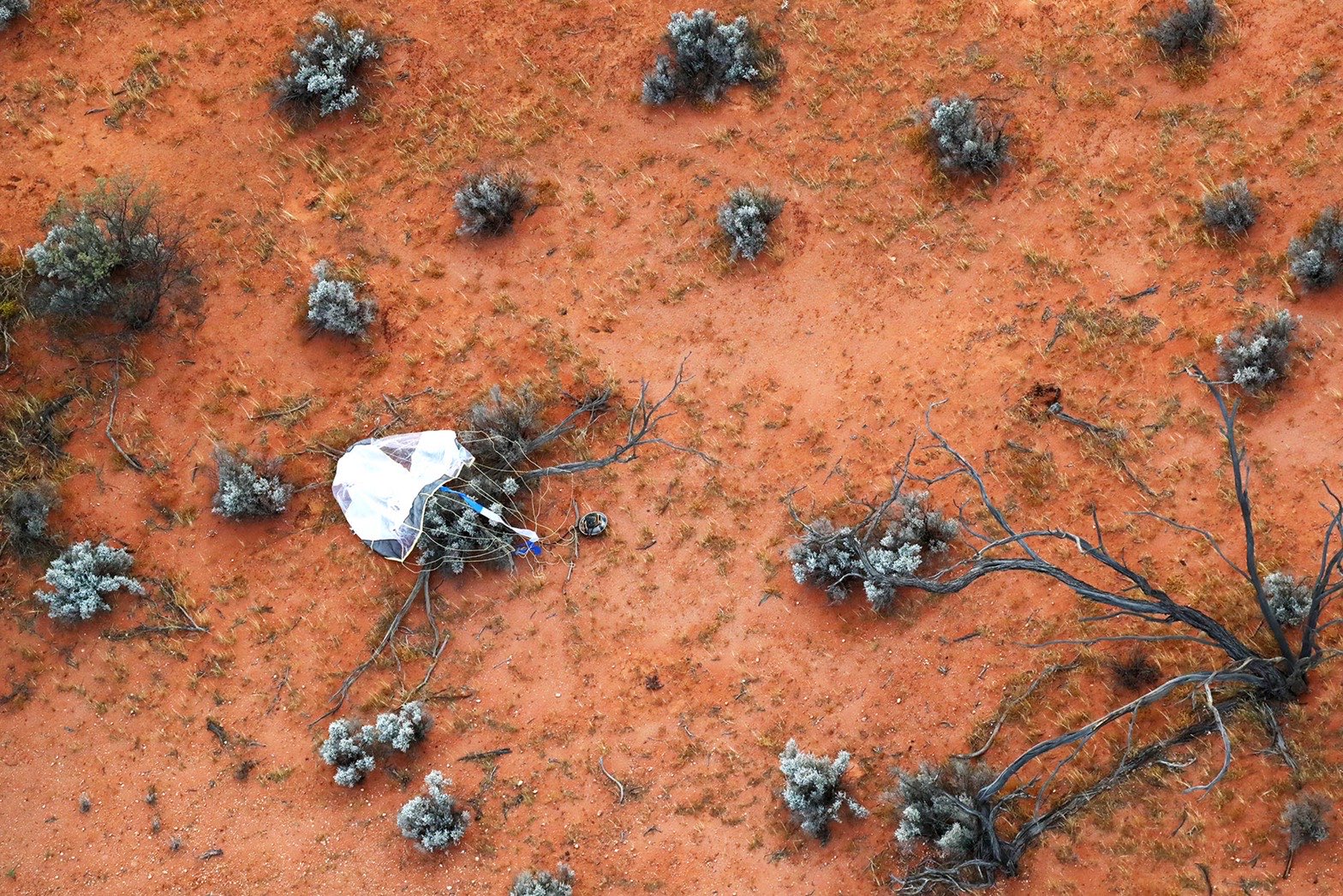 asteroid samples