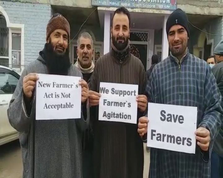 کسانوں کی حمایت میں سوپور فروٹ منڈی بند