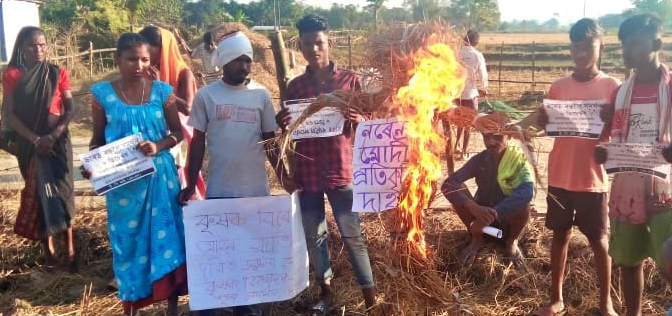 pm modis effigy burnt in behali