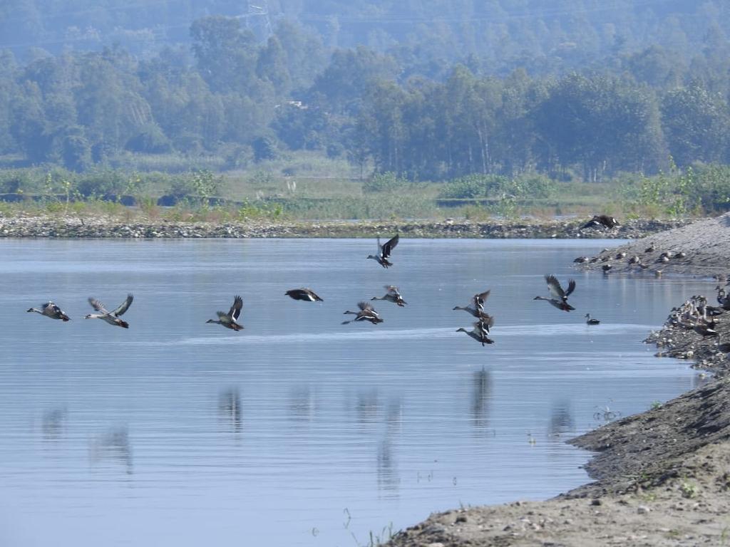 उत्तराखंड