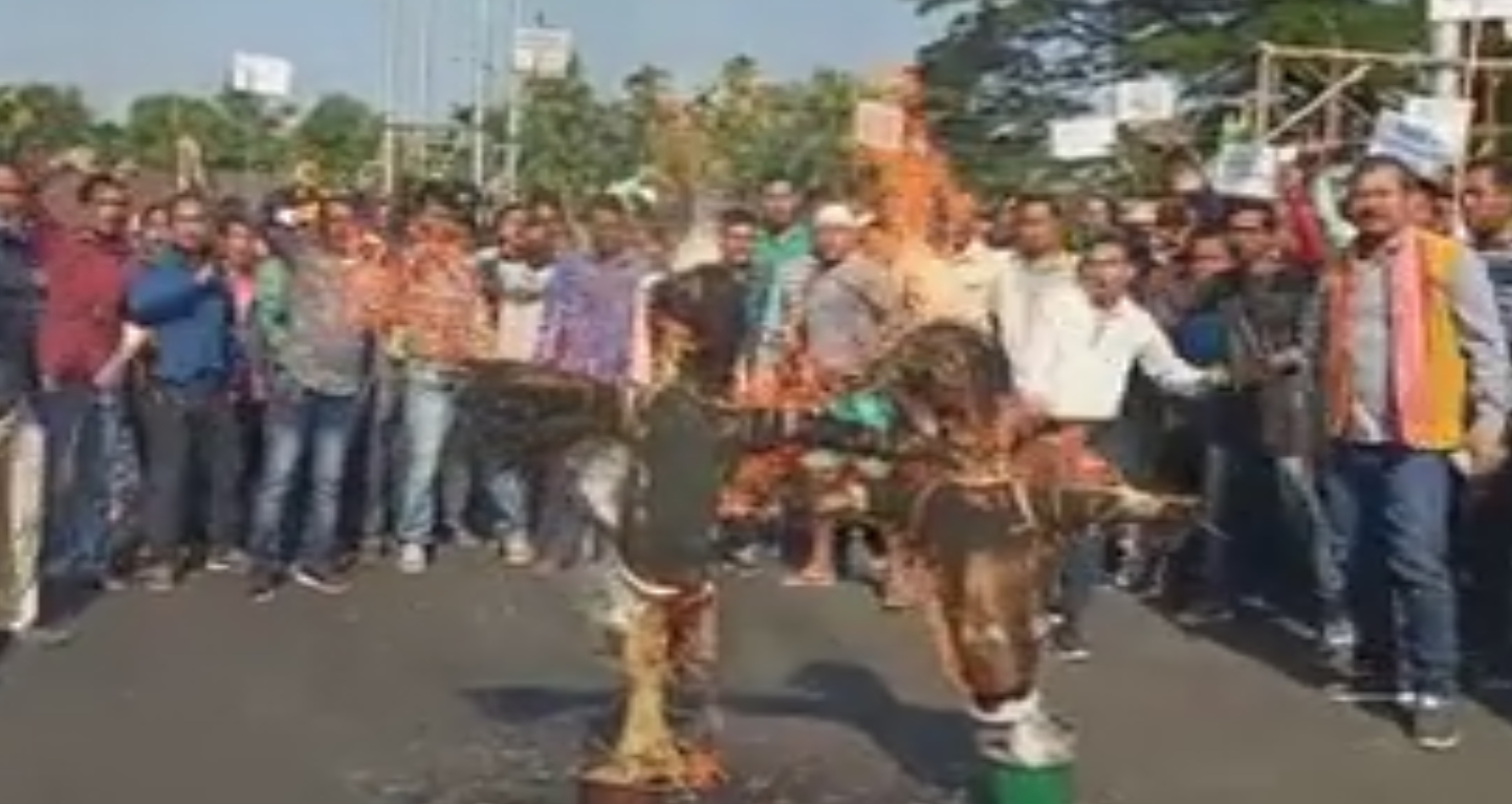 Hagrama mohilary's image burn in Tamulpur