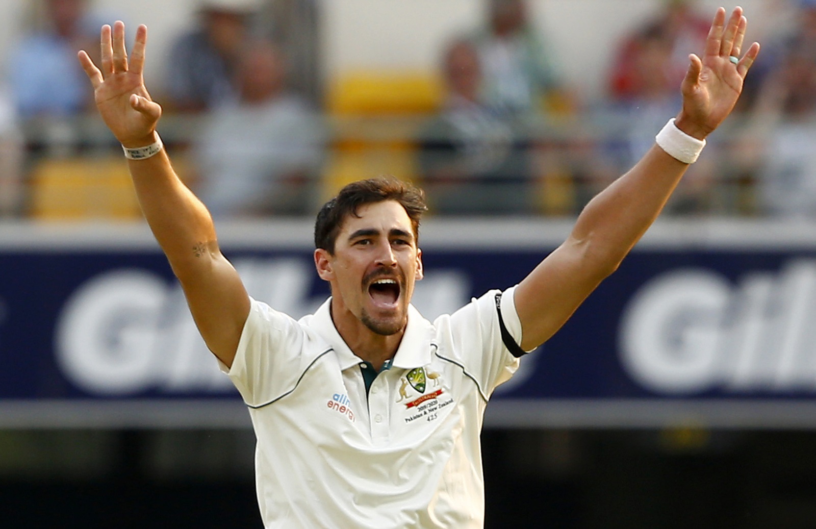 Mitchell Starc, Josh Hazelwood, AUS vs IND