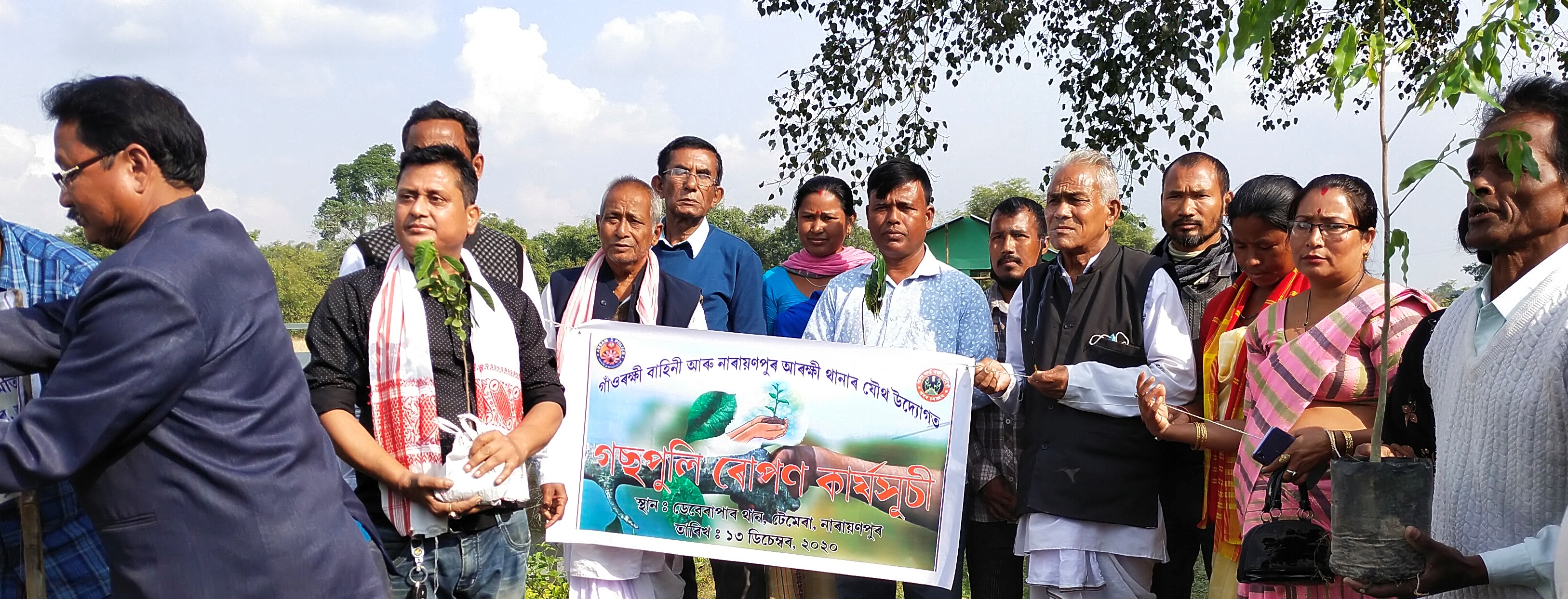 tea plantation drive at narayanpur in lakhimpur