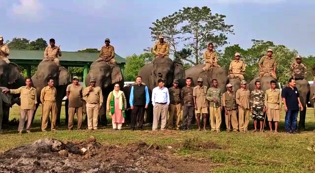 elephant show in manah national park