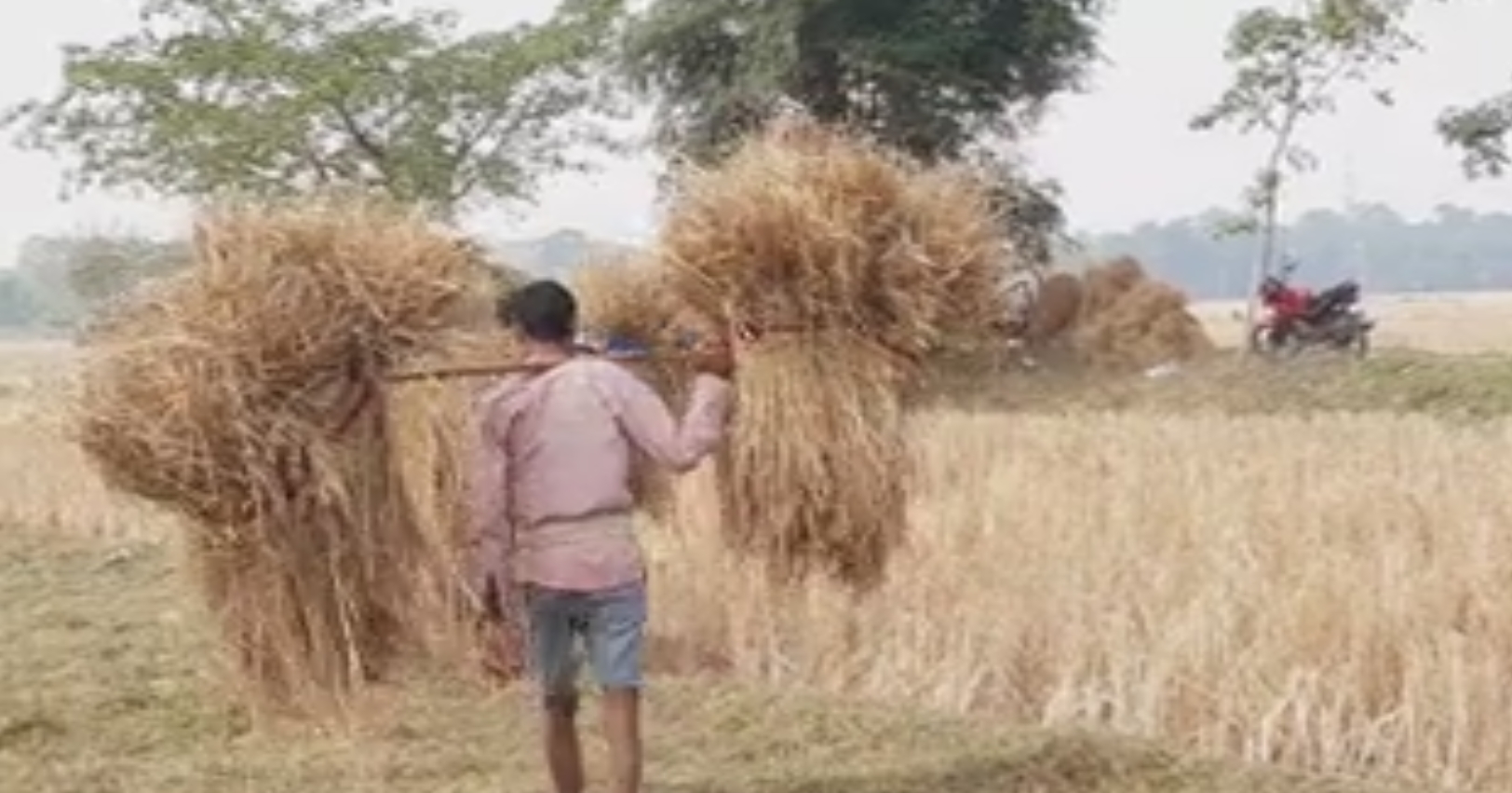 farmer celebrated a special program at nagaon