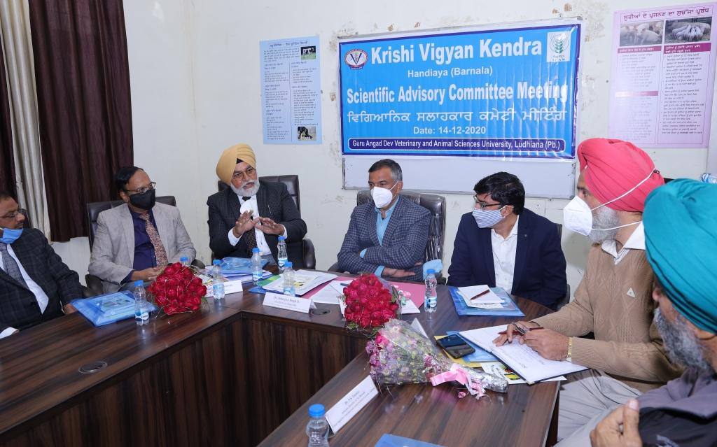 Gadvasu Vice Chancellor praises KVK Barnala's activities