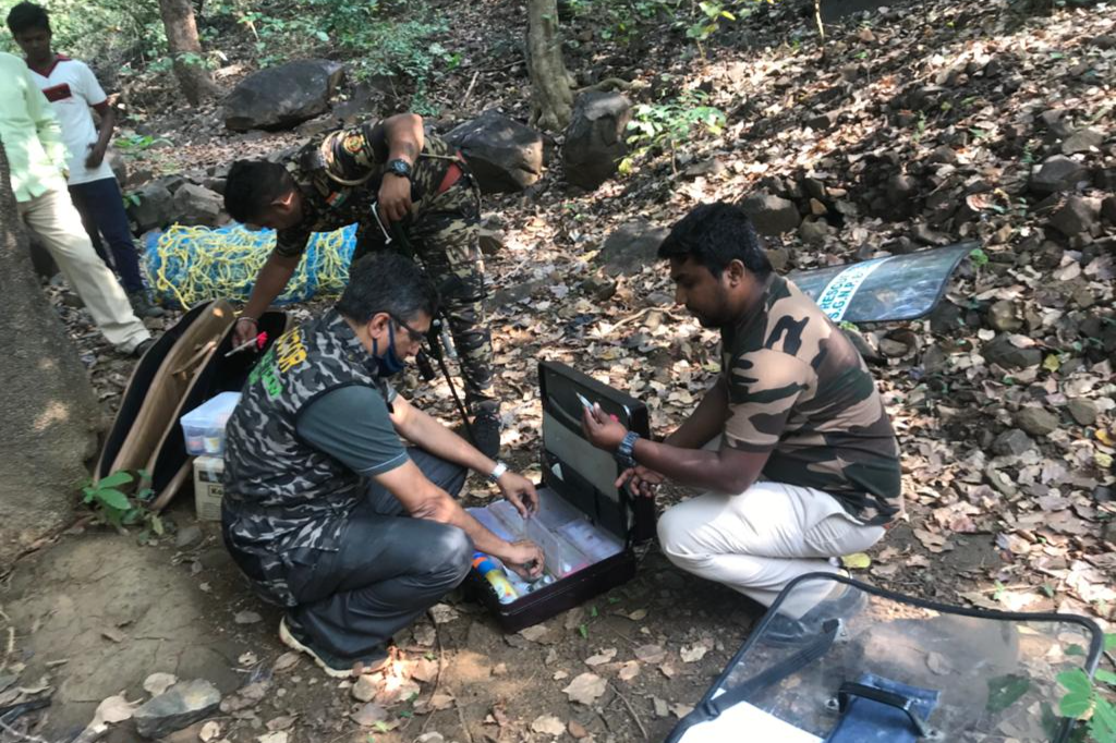 leopard caught by forest dept in thane