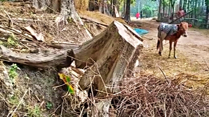 ইতিহাস প্ৰসিদ্ধ আৰিমত্ত গড় আজি অস্তিত্বৰ সংকটত