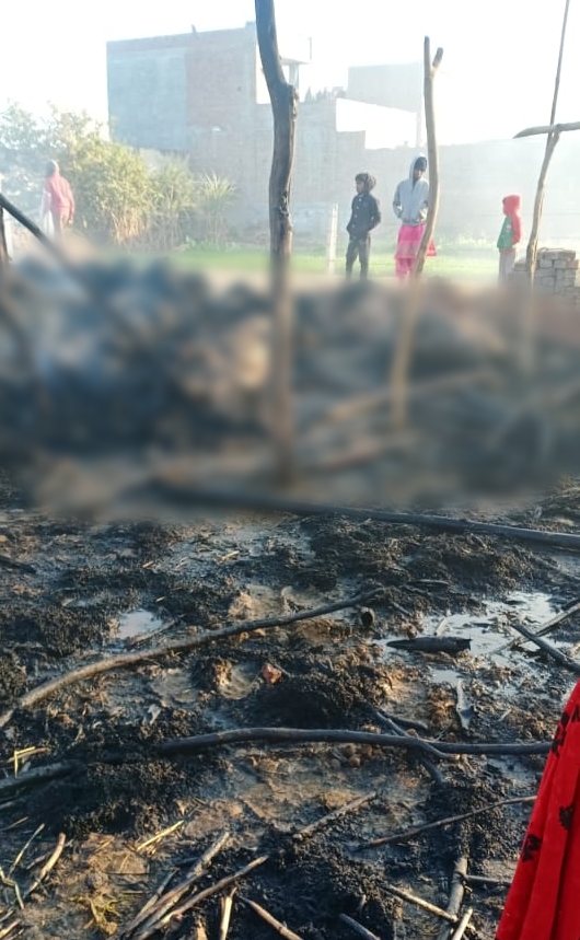 Dozens of animals die due to fire in cattle fence in fatehabad