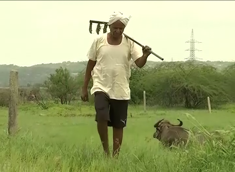 farmer-chinni-krishnudu-role-model-to-many-farmers-in-nizamabad