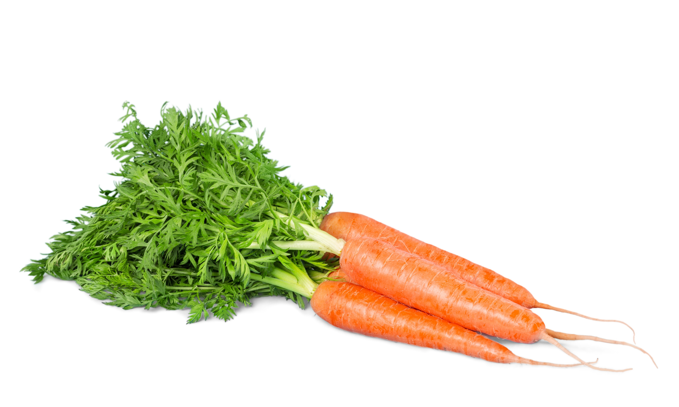 Health And Beauty Benefits Of Carrot