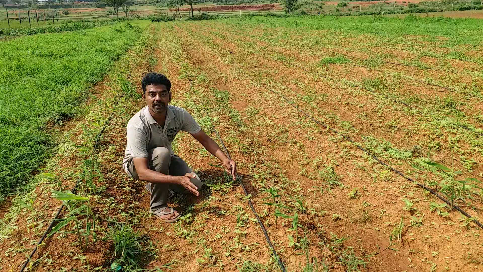 SRINIVASAN RAJU