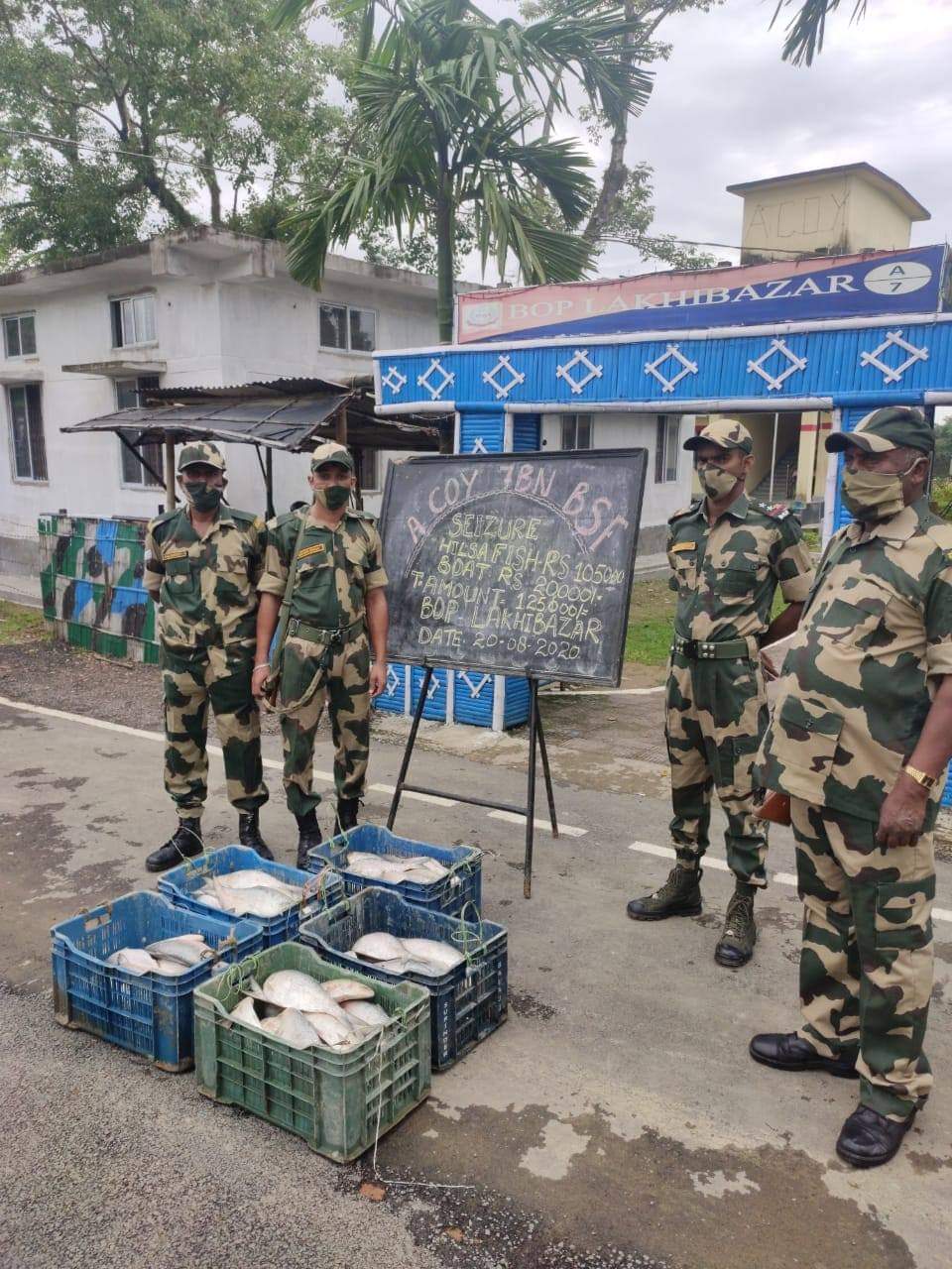 বিএছএফৰ অভিযানত ভাৰত-বাংলাদেশ সীমান্তত জব্দ অবৈধ ইলিছ মাছ