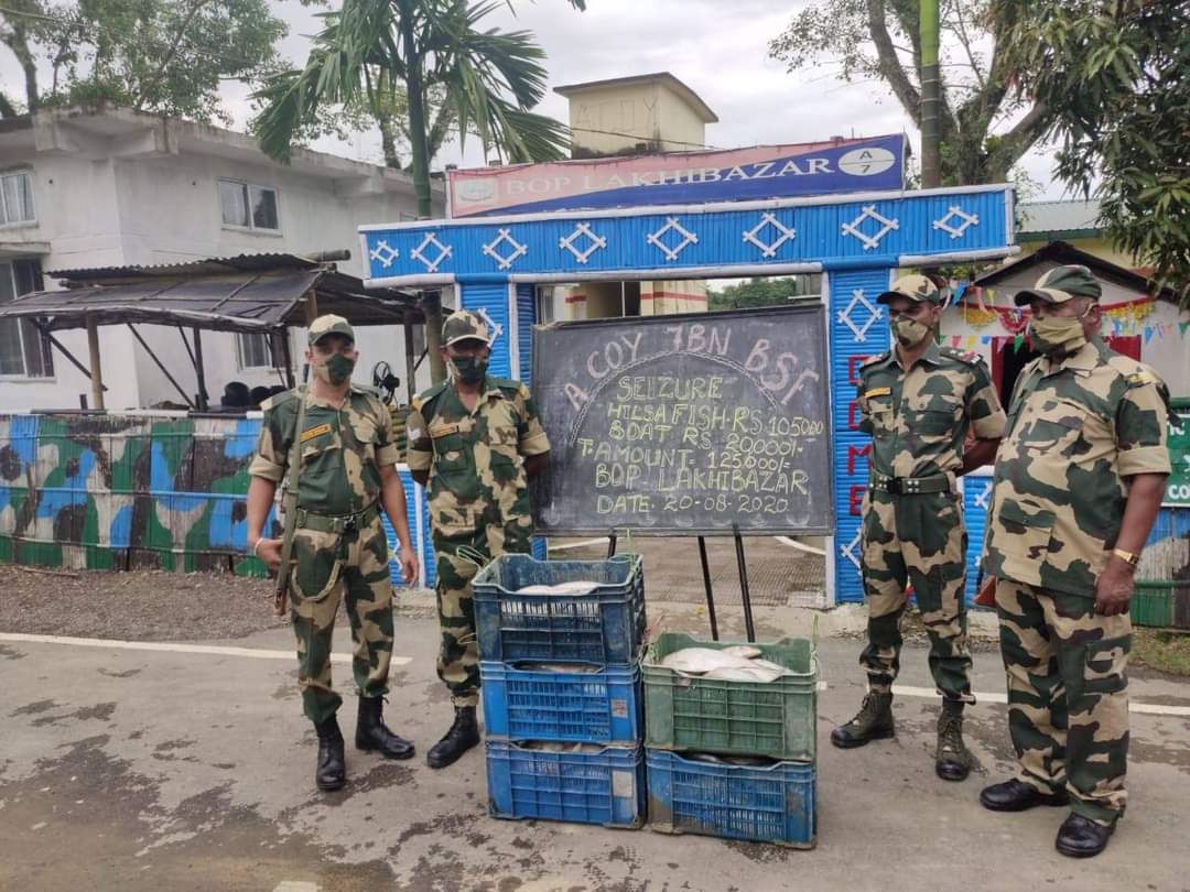 বিএছএফৰ অভিযানত ভাৰত-বাংলাদেশ সীমান্তত জব্দ অবৈধ ইলিছ মাছ