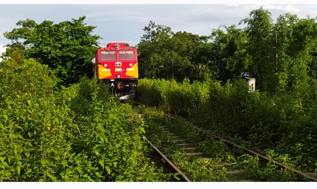 train route connecting amguri nagaland tuli