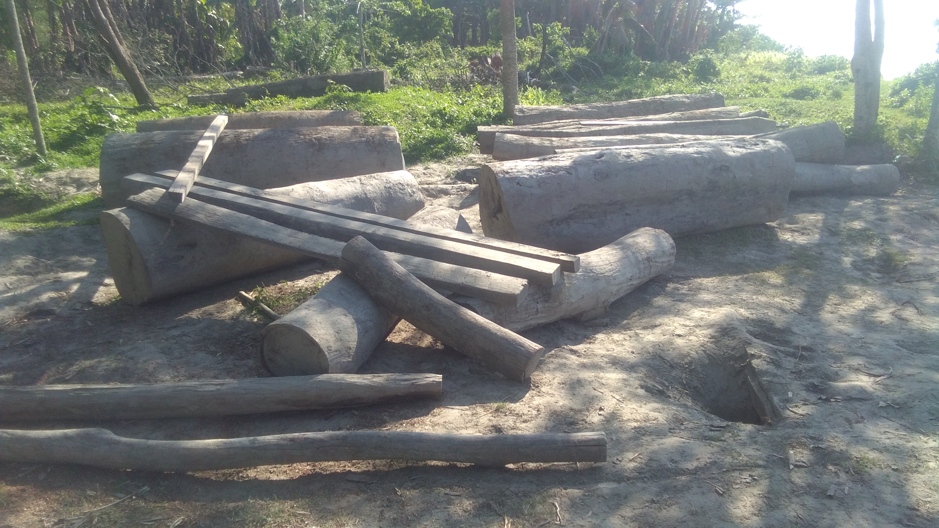 AAMGURI TIMBER SIZED