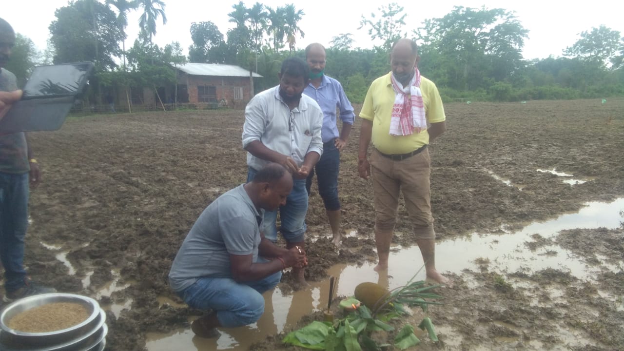 Seed Program at Amguri