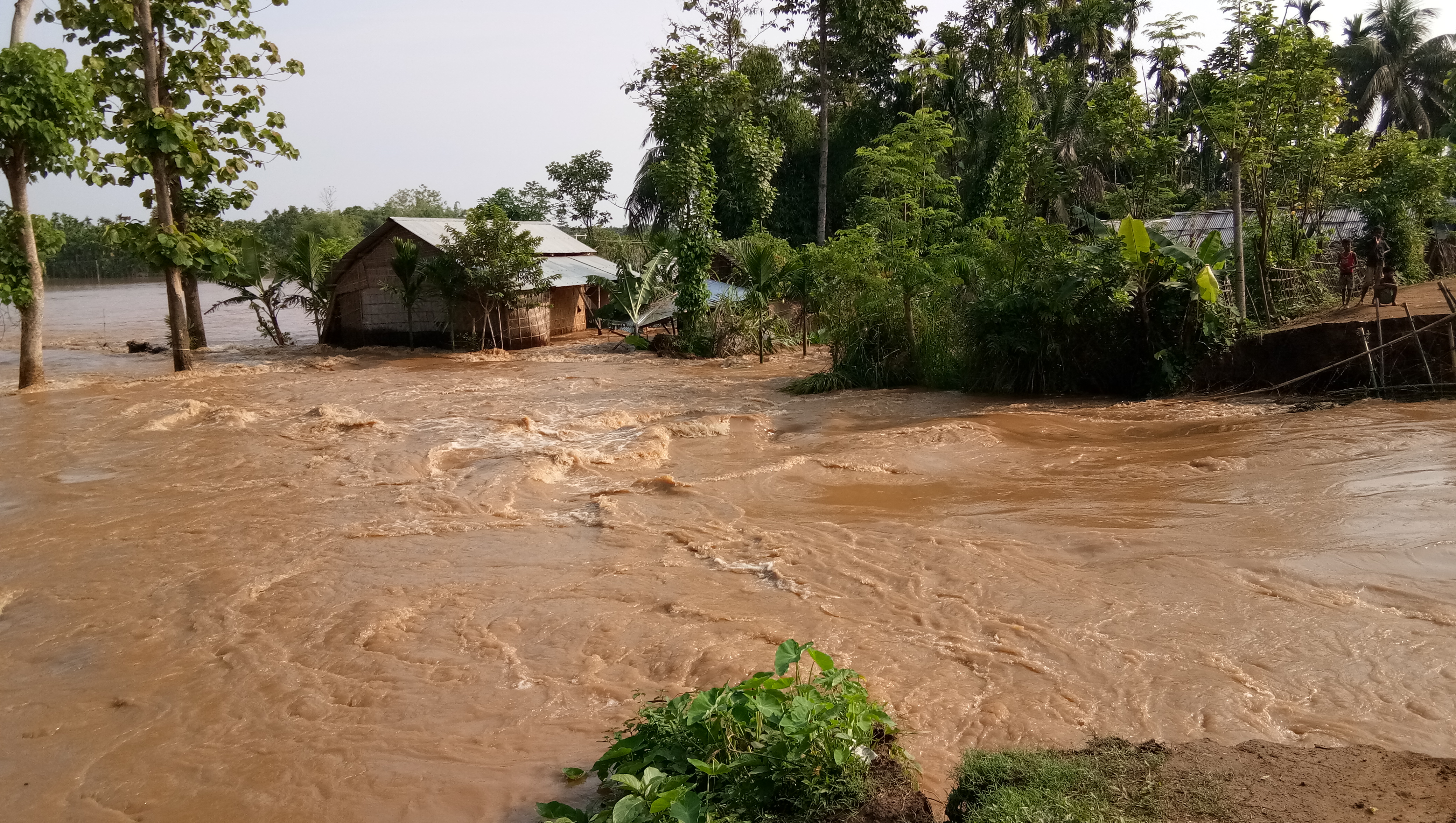 kampur Nagaon