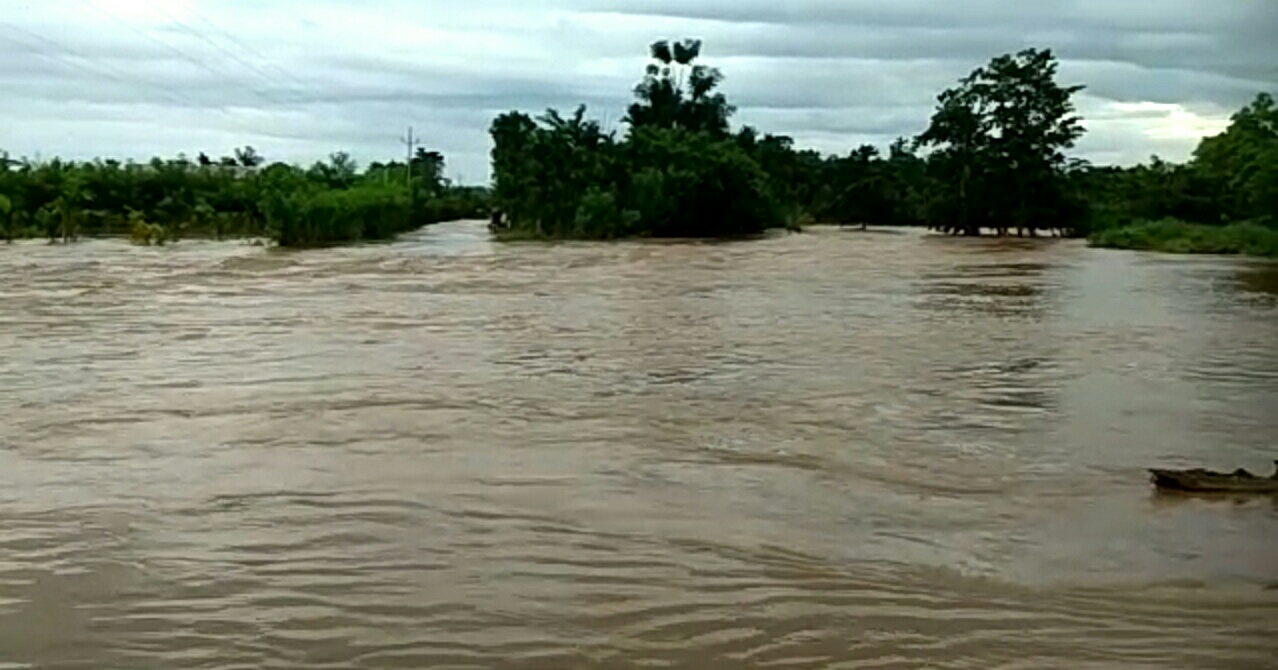 borpani river flood affected in kampur