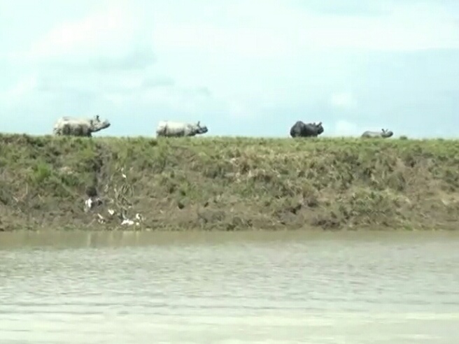 CM Sonowal at Kaziranga National Park