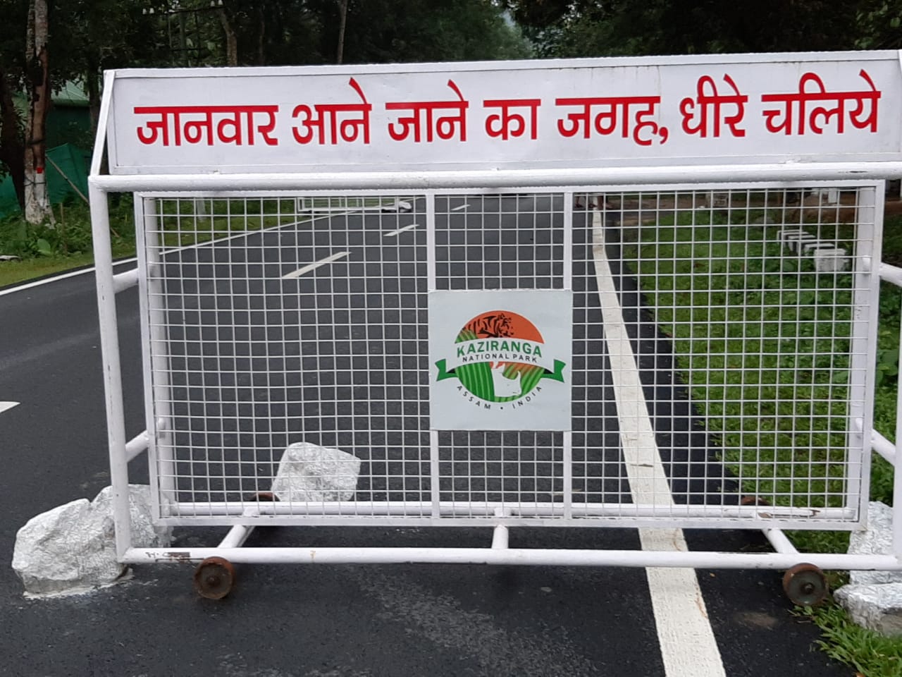 Time-Card Issued on 37th National High Way at Kaziranga National Park