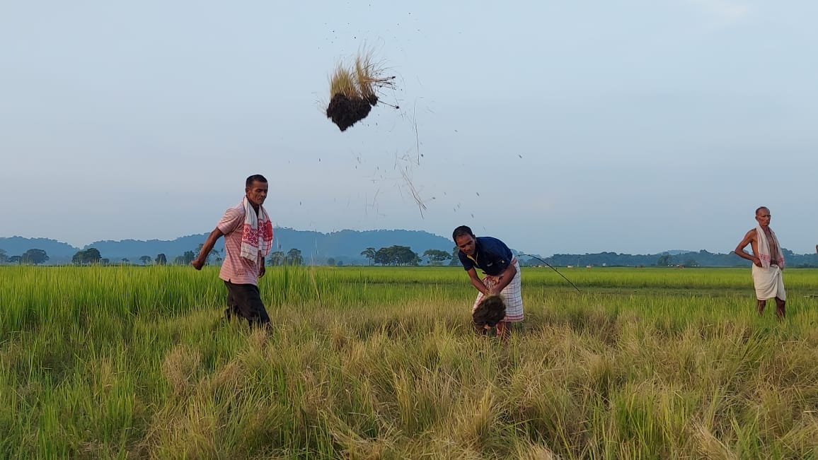 Failed irrigation project in Kaliabo