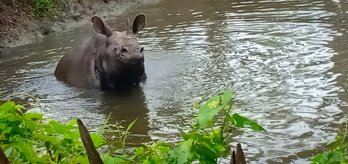 কলিয়াবৰৰ মন্দিৰত গড়ৰ আশ্ৰয়