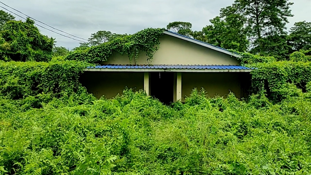 ধ্বংসৰ গৰাহত কলিয়াবৰৰ ৰাজ্যিক কেন্দ্ৰীয় হাঁহ প্ৰজনন আৰু গৱেষণা কেন্দ্ৰ