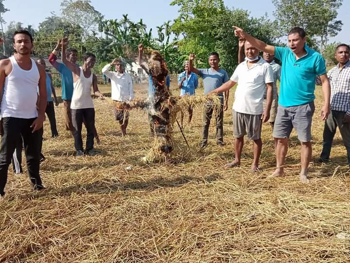 কৃষি আইন বাতিলৰ দাবীত মাহমৰা কংগ্ৰেছৰ প্ৰতিবা