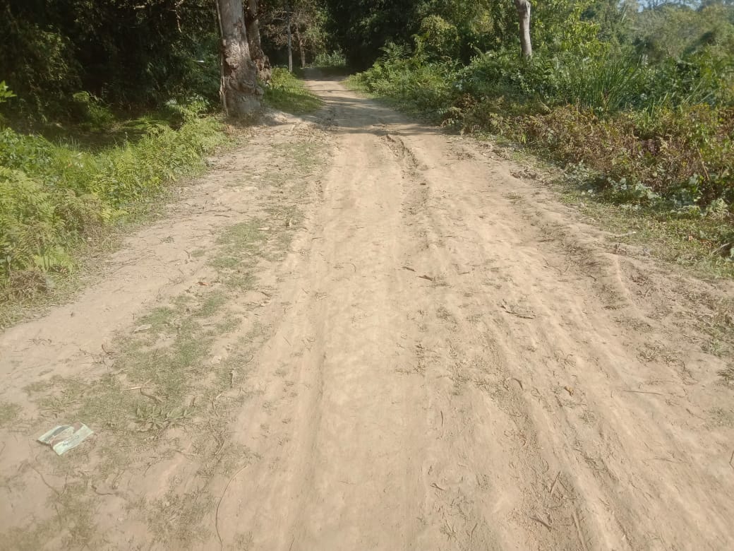 Poor condition of road in Moran