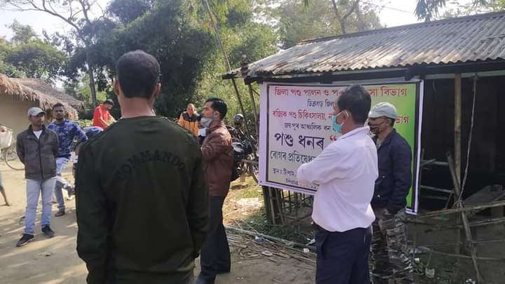 Anthrax antidote camp at Dibrugarh