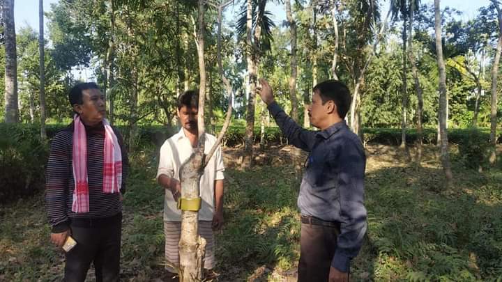 ধেমেচিত হস্ততাঁত আৰু বস্ত্ৰশিল্প বিভাগৰ অধীনত চলি থকা কামৰ বুজ লয় ডিব্ৰুগড় জিলা উন্নয়ন আয়ুক্তই