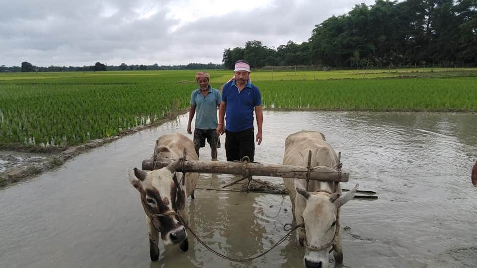 বিধায়ক নৰেন সোণোৱাল