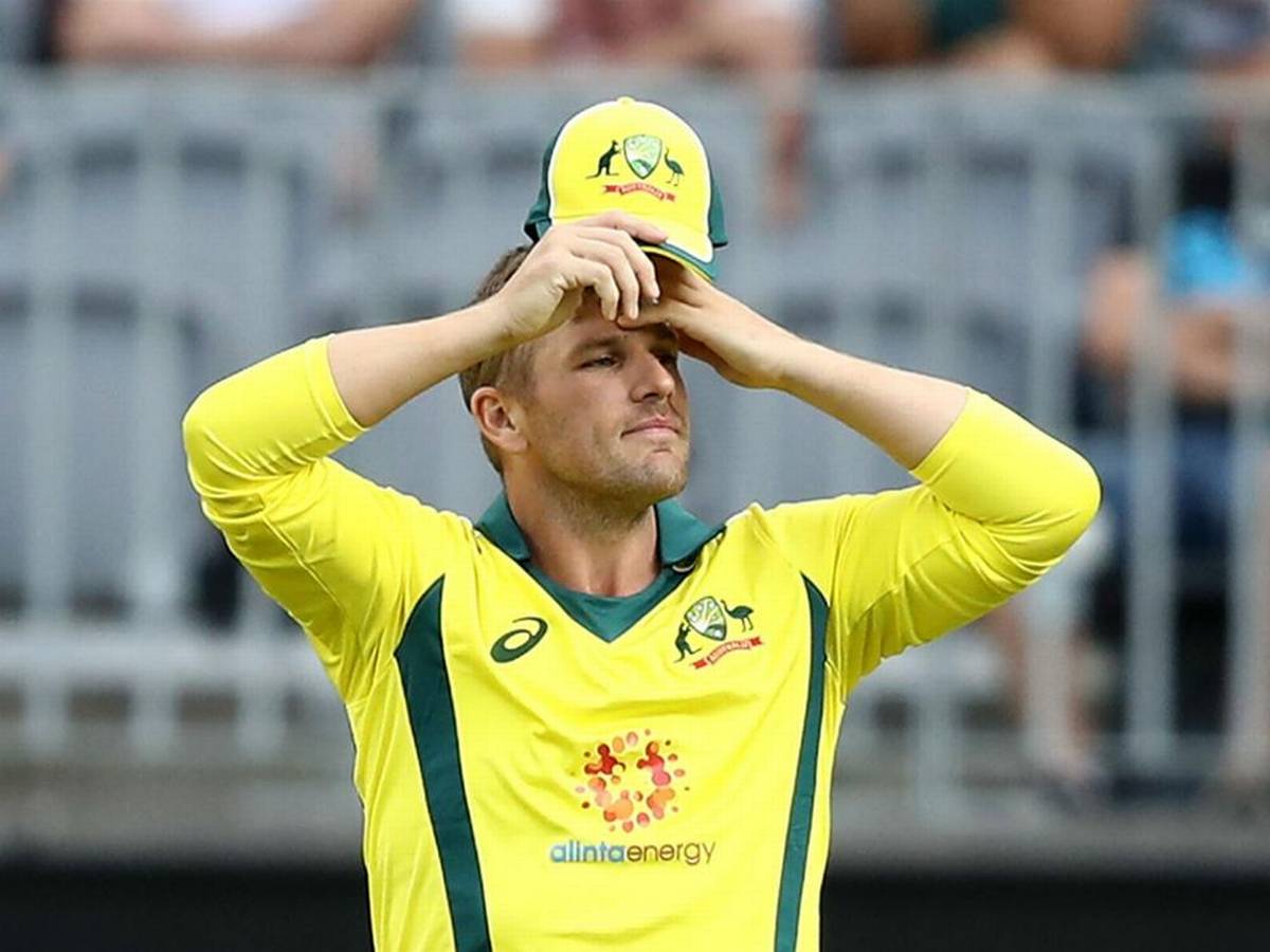 Aaron Finch , 2023 World cup