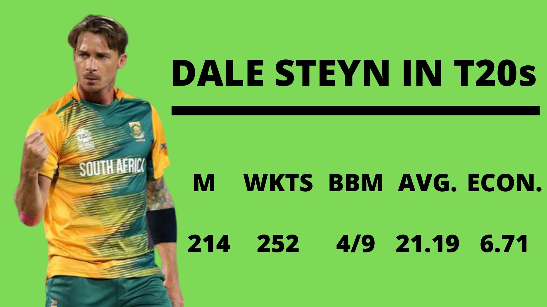 Dale Steyn T20 stats