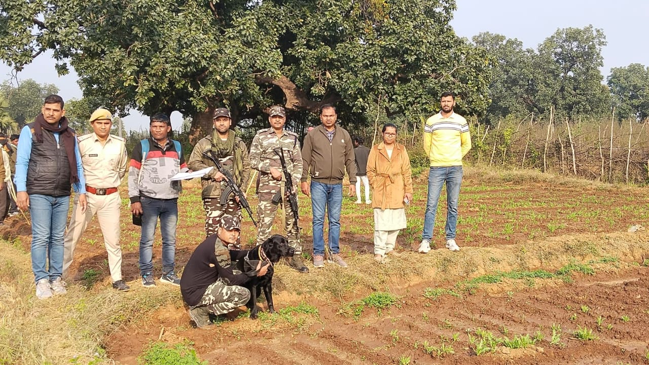 जांच के लिए ली जा रही स्क्वायड डॉग की मदद